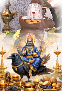 Shani Trayodashi Special Shani Abhishekam and Rudhrabhishekam and Dhanam To Resolve Shani Dosha